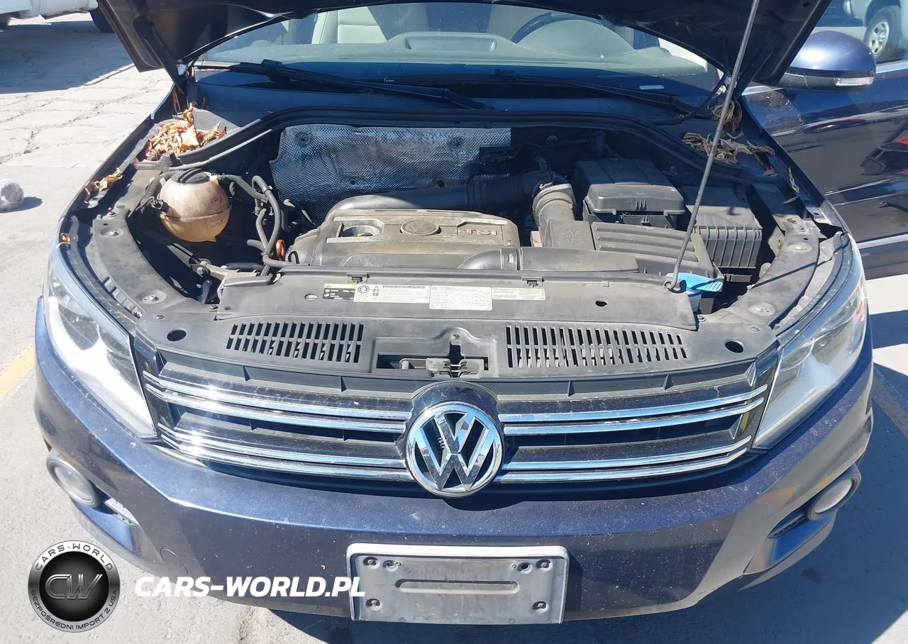 2013 Volkswagen Tiguan Se VIN:WVGAV3AX0DW066890 - 10
