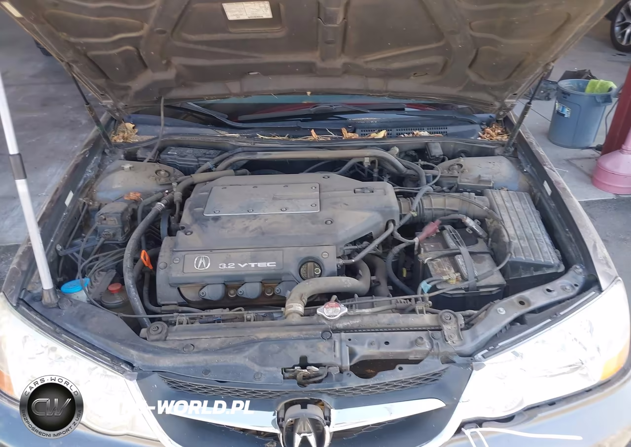 2003 Acura Tl 3.2 VIN:19UUA56693A063329 - 10