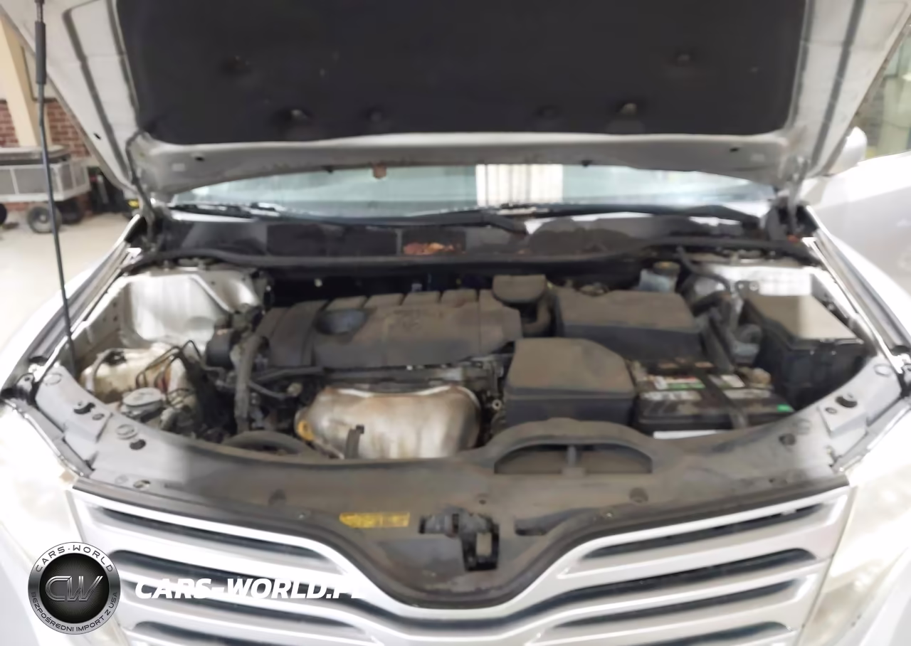 2010 Toyota Venza VIN:4T3ZA3BB0AU036871 - 10