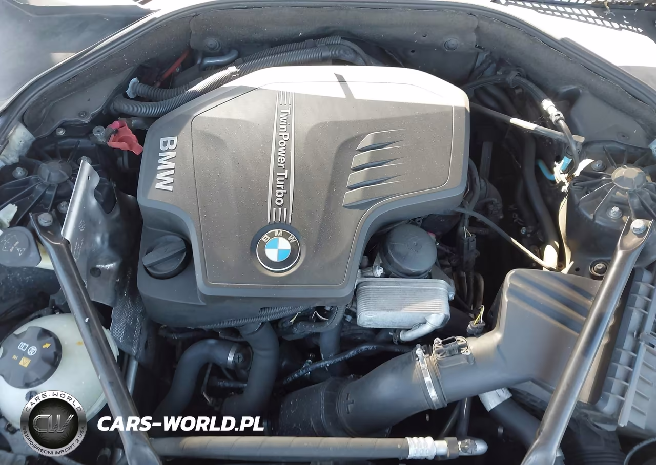 2016 BMW 5 Series 528I VIN:WBA5A5C56GD529945 - 10