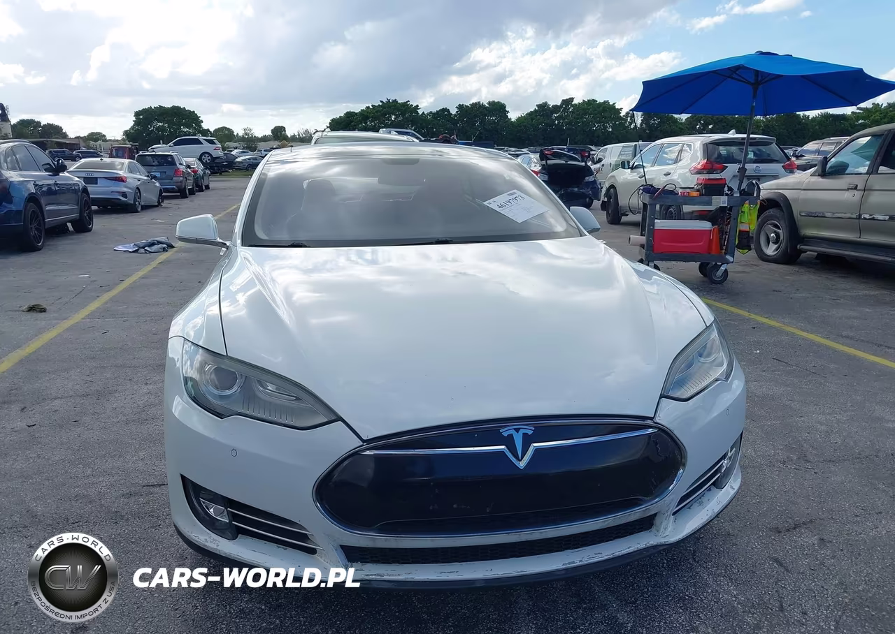 2013 Tesla Model S Performance VIN:5YJSA1DP4DFP25885 - 12