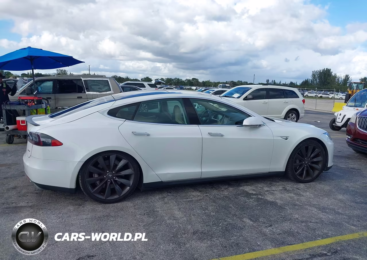 2013 Tesla Model S Performance VIN:5YJSA1DP4DFP25885 - 13