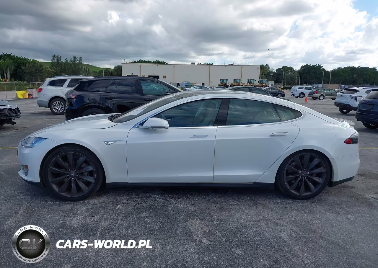 2013 Tesla Model S Performance VIN:5YJSA1DP4DFP25885 - 14