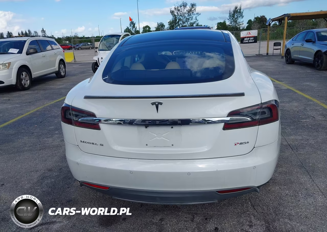2013 Tesla Model S Performance VIN:5YJSA1DP4DFP25885 - 16