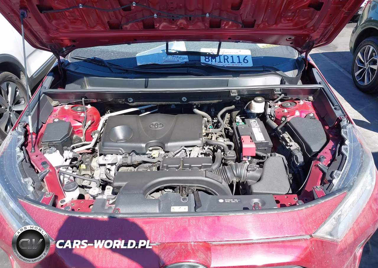 2019 Toyota Rav4 Xle VIN:2T3W1RFV9KW049386 - 10