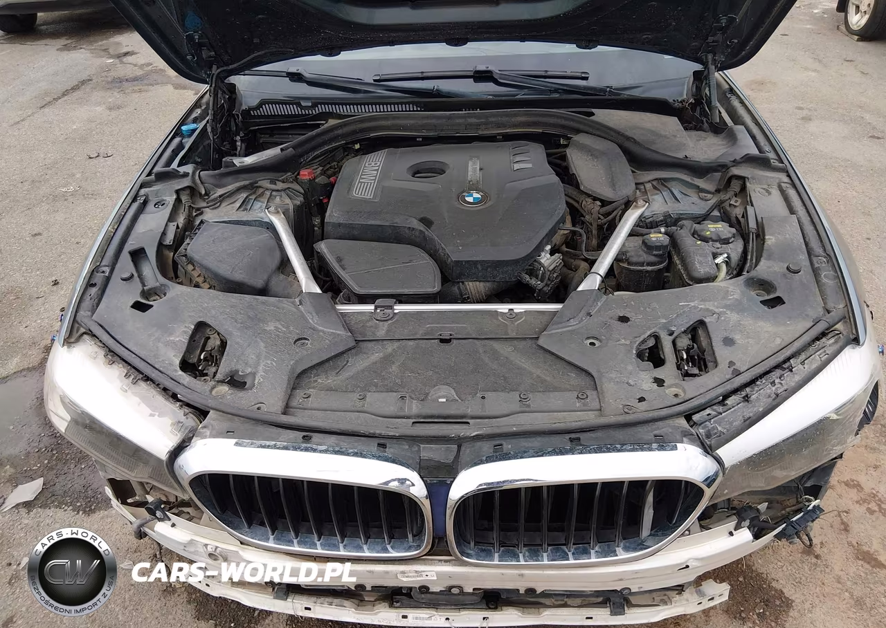 2019 BMW 530I VIN:WBAJA5C56KWW49210 - 10