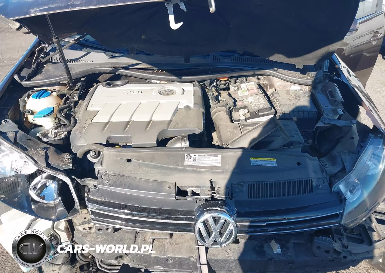 2014 Volkswagen Jetta Sportwagen 2.0L Tdi VIN:3VWPL7AJ7EM617175 - 10