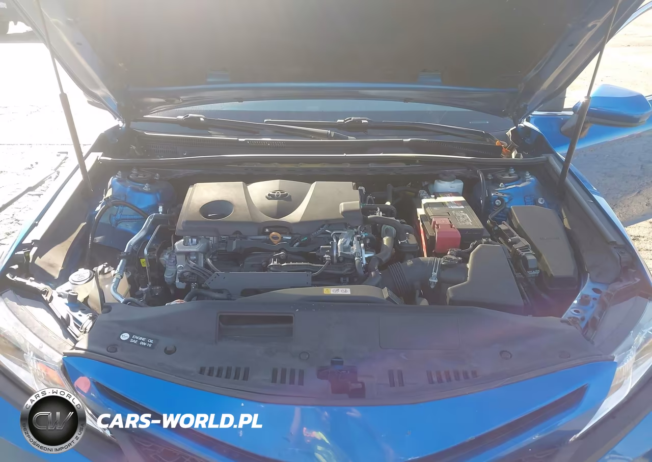 2019 Toyota Camry Se VIN:4T1B11HKXKU272600 - 10
