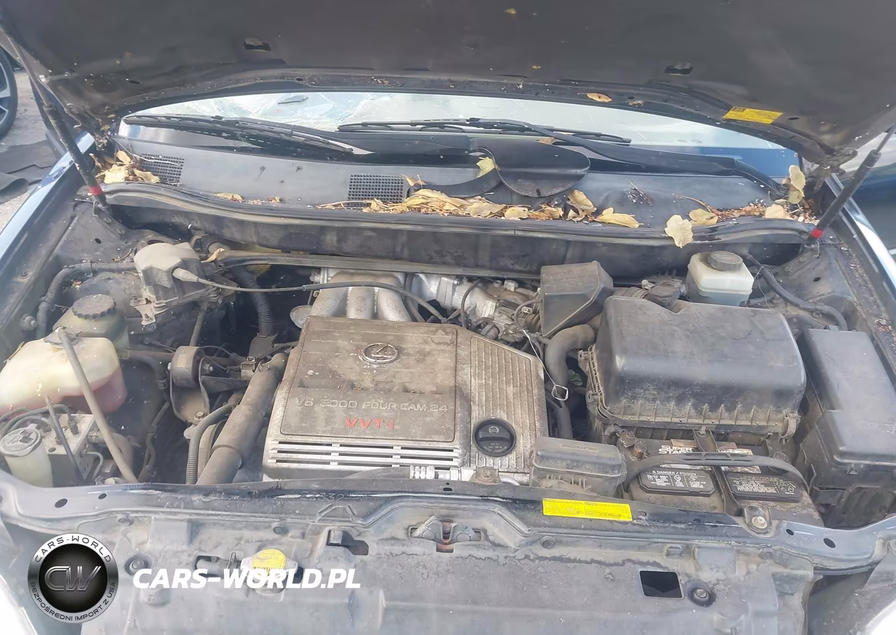 2001 Lexus Rx 300 VIN:JTJHF10U910177624 - 10