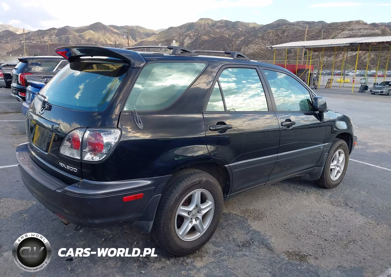 2001 Lexus Rx 300 VIN:JTJHF10U910177624 - 4