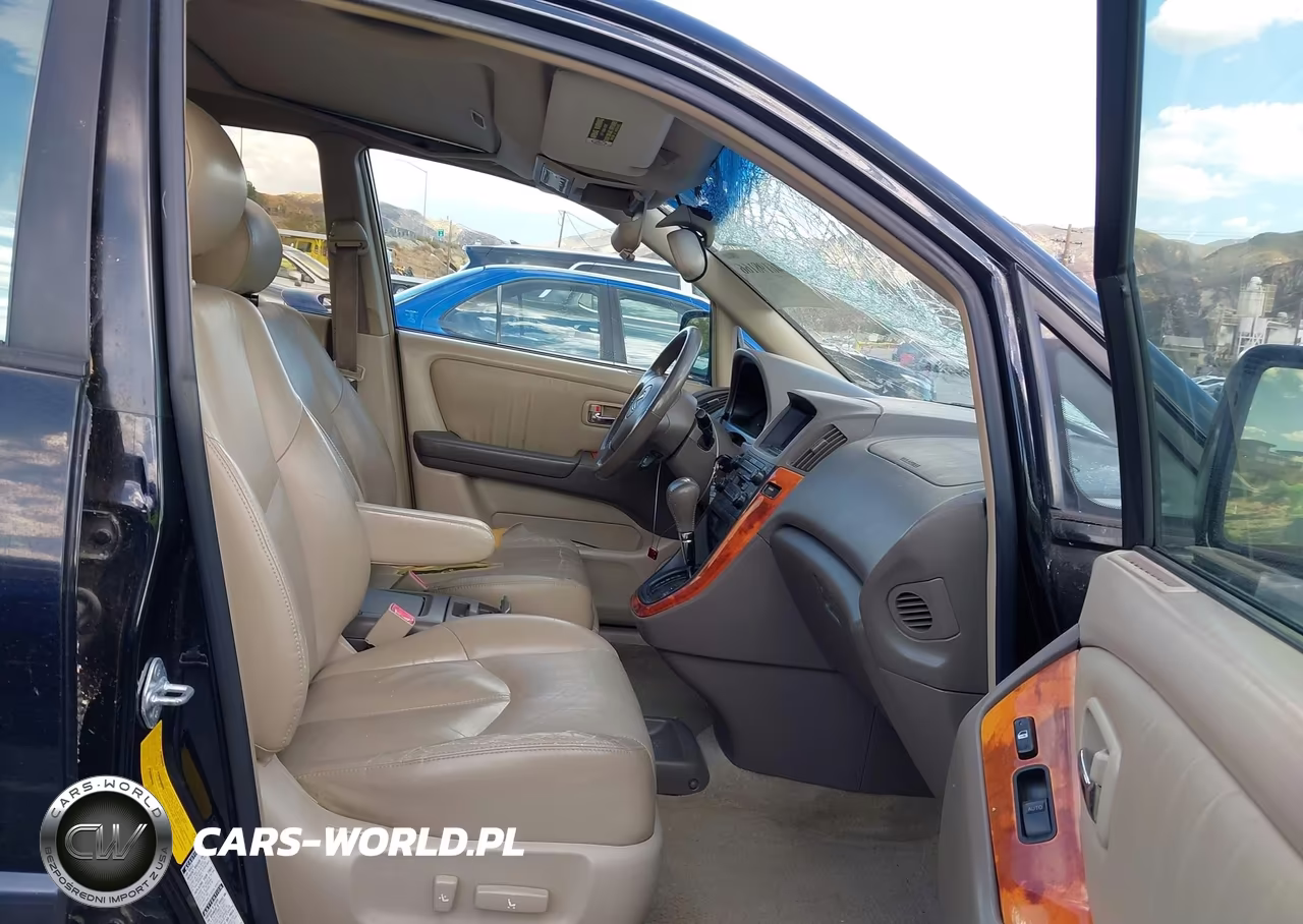 2001 Lexus Rx 300 VIN:JTJHF10U910177624 - 5