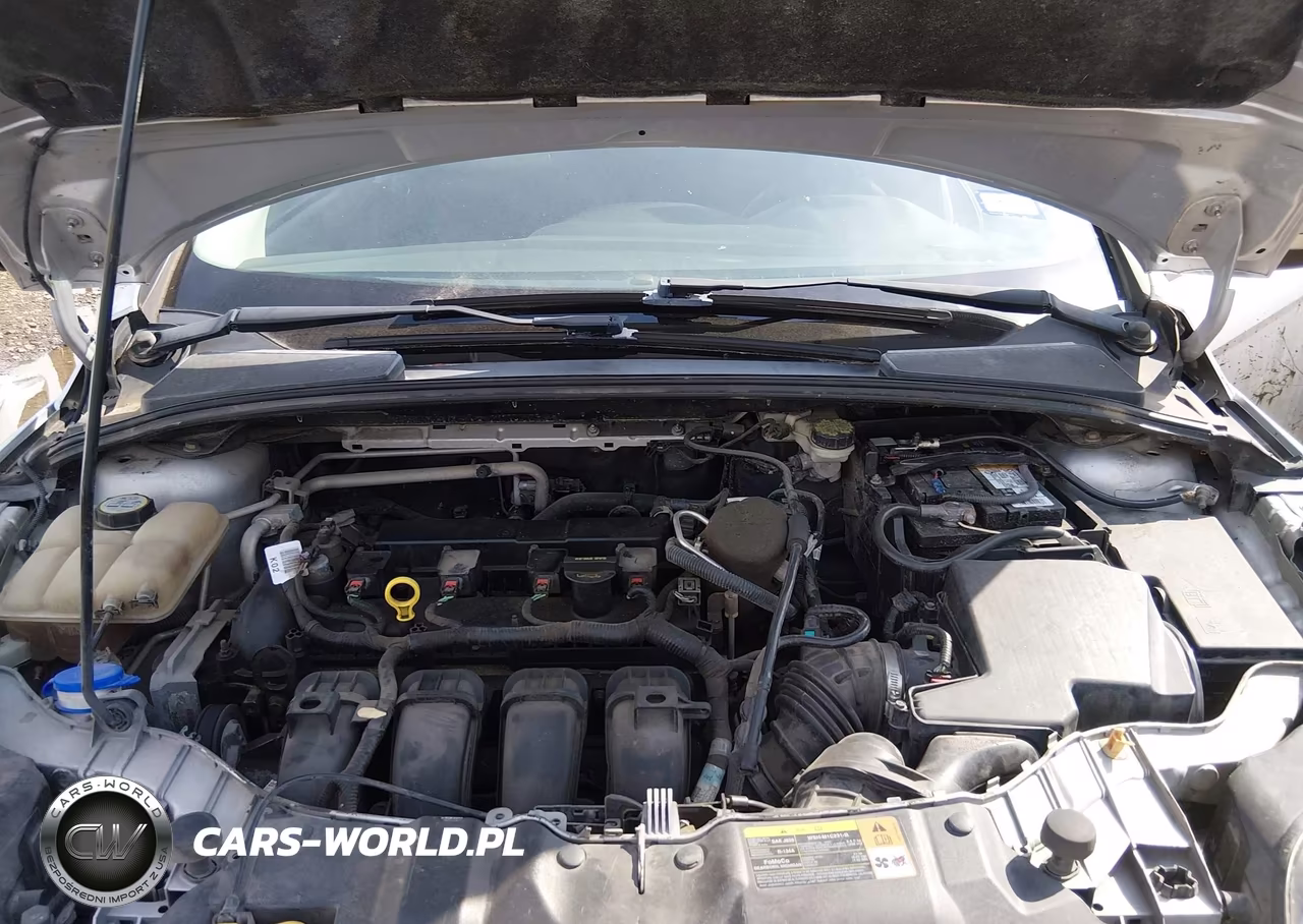 2013 Ford Focus Se VIN:1FADP3F27DL233830 - 10