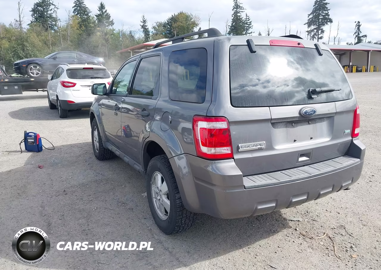 2011 Ford Escape Xlt VIN:1FMCU9DG6BKA08975 - 3