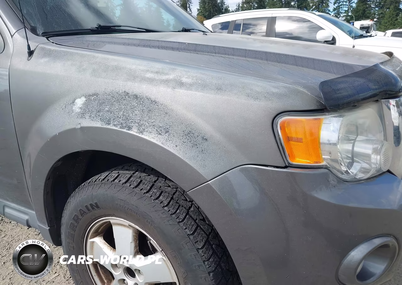 2011 Ford Escape Xlt VIN:1FMCU9DG6BKA08975 - 6