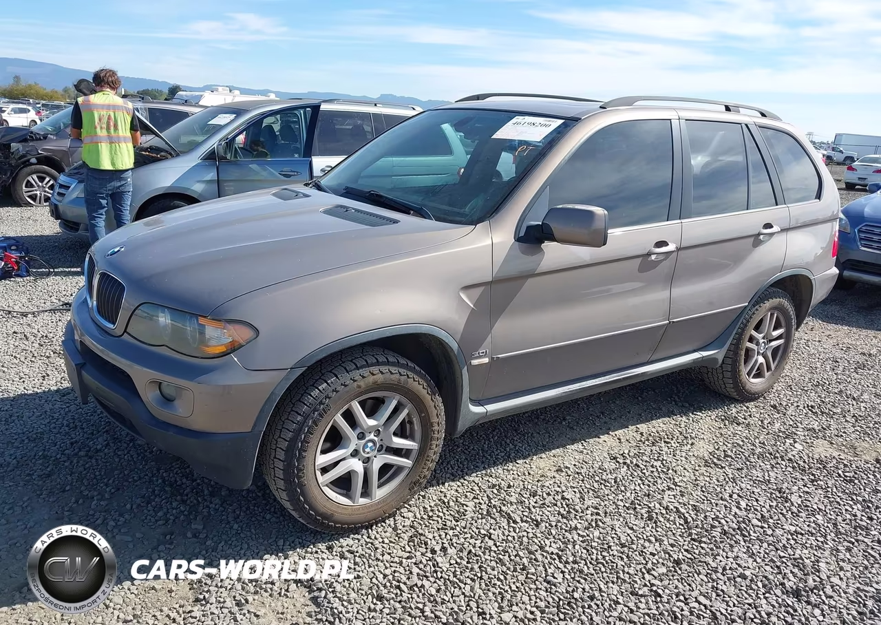 2005 BMW X5 3.0I VIN:5UXFA13555LU48341 - 2