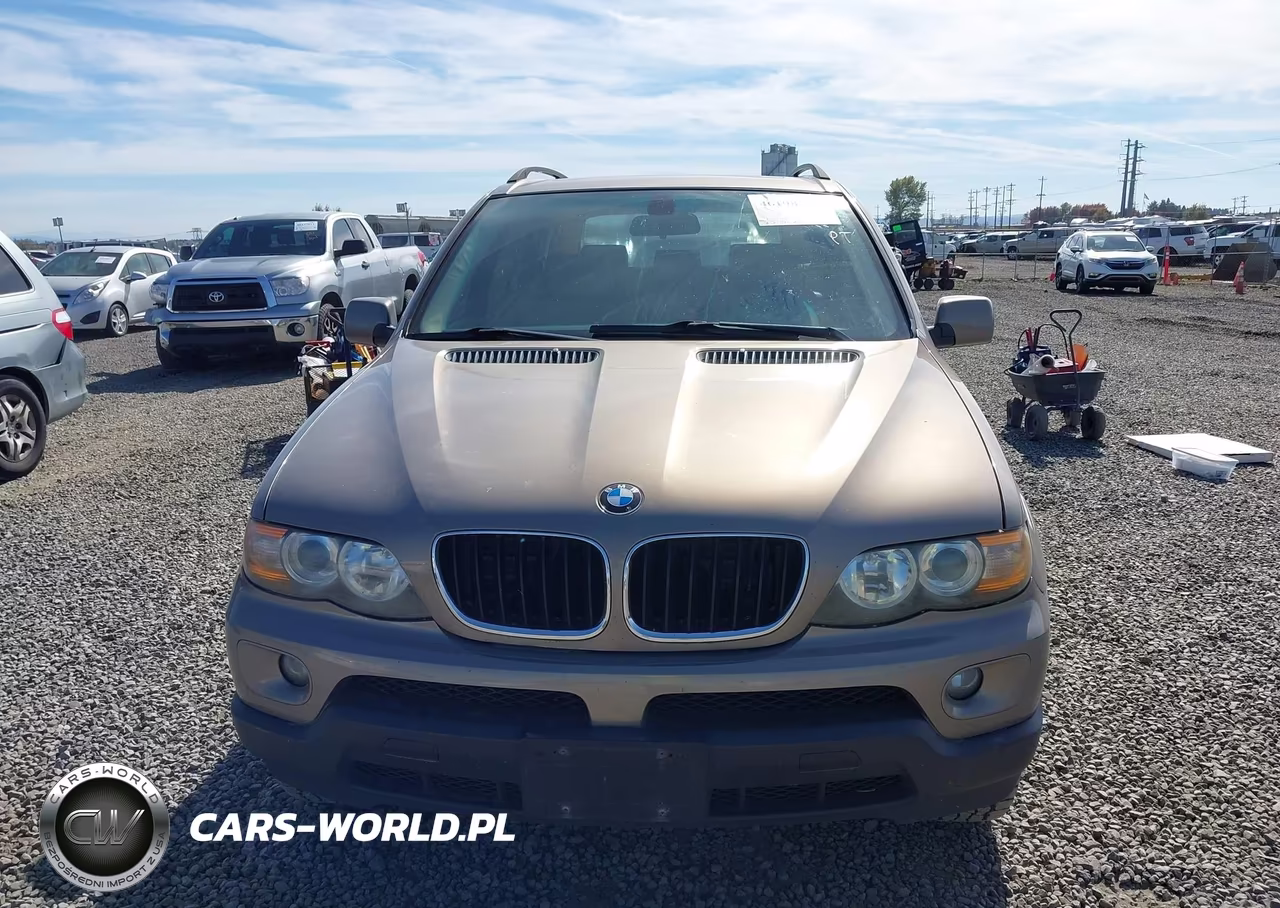 2005 BMW X5 3.0I VIN:5UXFA13555LU48341 - 6