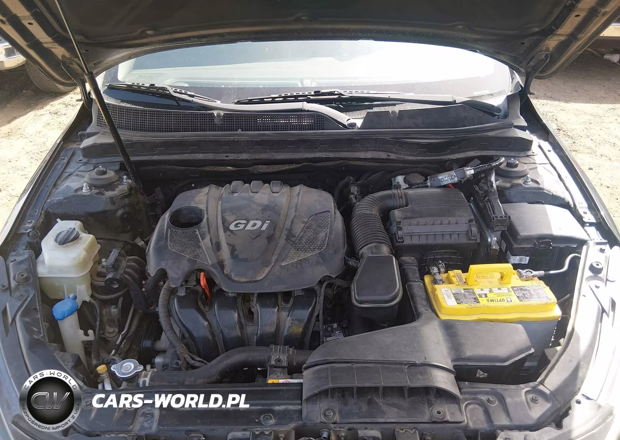 2015 Kia Optima Lx VIN:KNAGM4A75F5654085 - 10