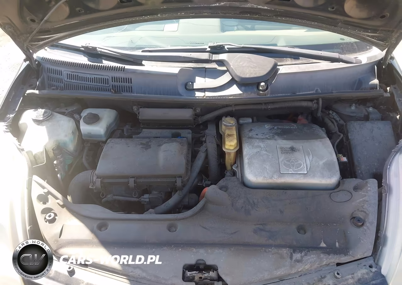 2009 Toyota Prius VIN:JTDKB20U193486699 - 10