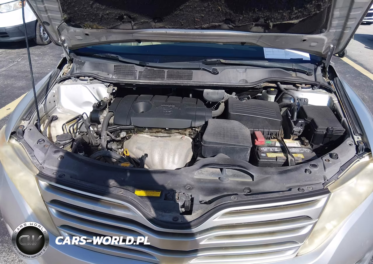2010 Toyota Venza VIN:4T3ZA3BB4AU027882 - 10