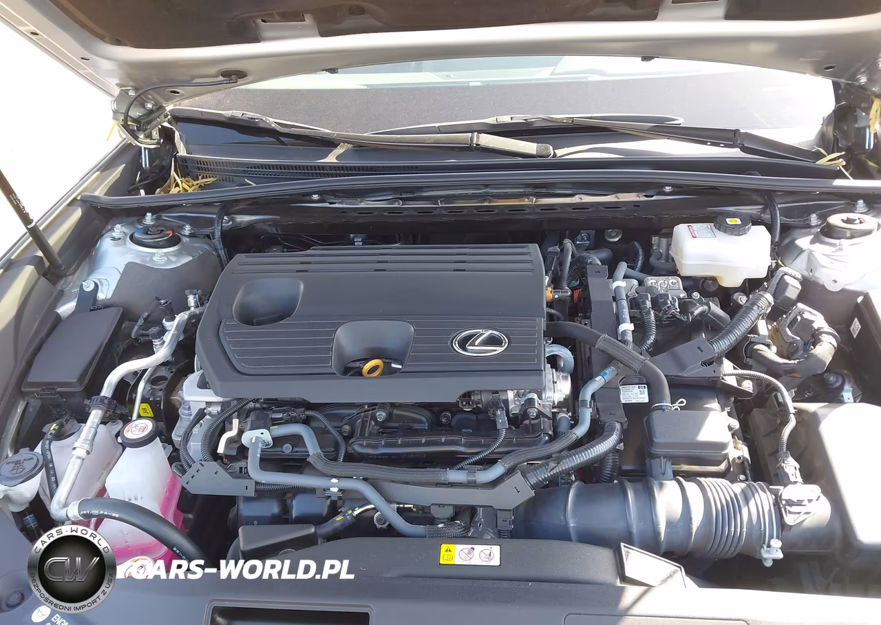 2024 Lexus Es 300H VIN:58ADA1C18RU042158 - 10