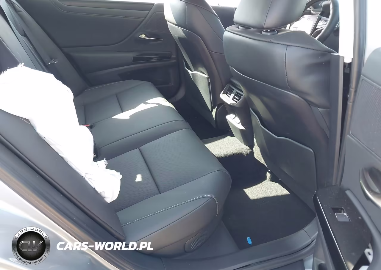 2024 Lexus Es 300H VIN:58ADA1C18RU042158 - 8