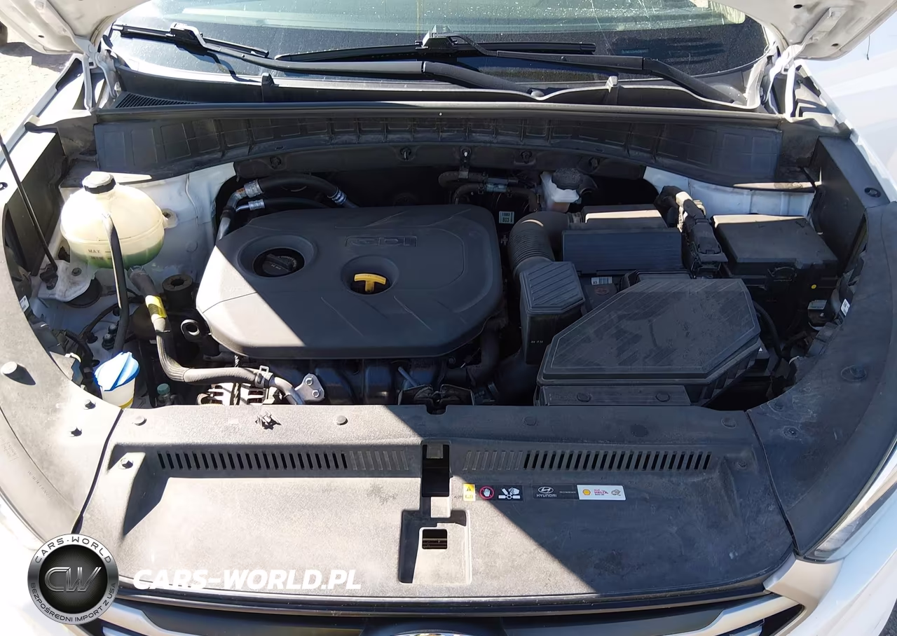 2018 Hyundai Tucson Se VIN:KM8J23A49JU684487 - 10