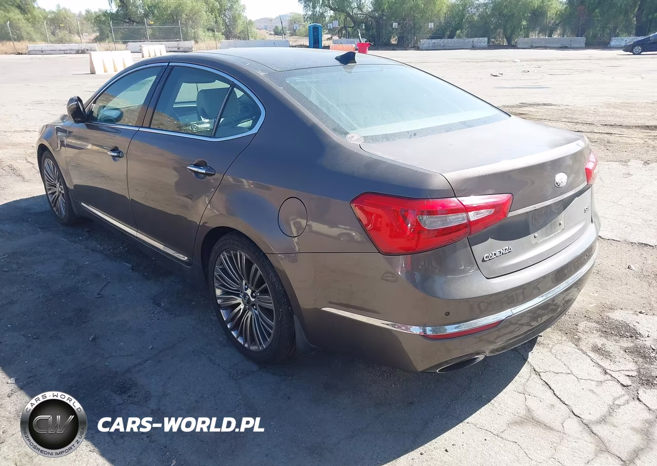 2014 Kia Cadenza Limited VIN:KNALN4D78E5164634 - 3