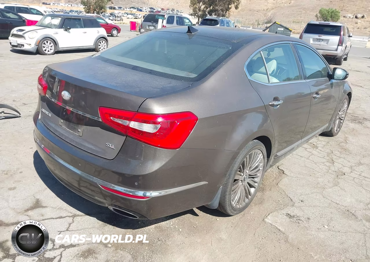 2014 Kia Cadenza Limited VIN:KNALN4D78E5164634 - 4