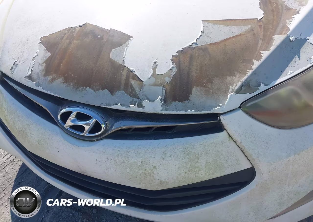 2013 Hyundai Elantra Gs VIN:KMHDH6AE0DU015129 - 10