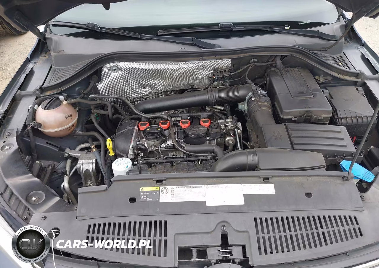 2014 Volkswagen Tiguan Se VIN:WVGAV3AX9EW518885 - 10