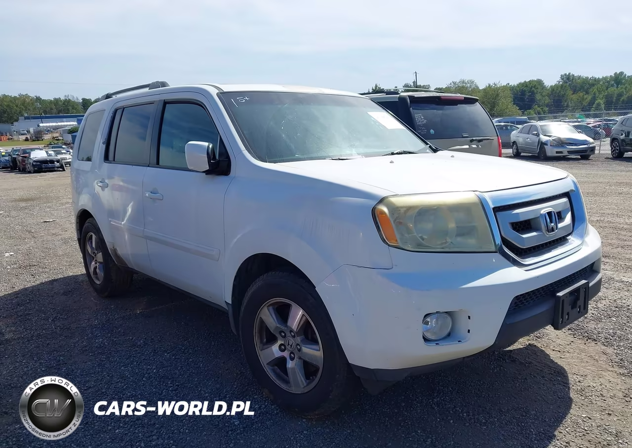 2009 Honda Pilot Ex-L VIN:5FNYF48579B049901 - 1