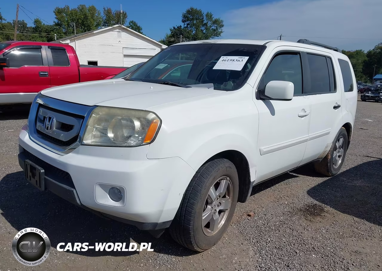 2009 Honda Pilot Ex-L VIN:5FNYF48579B049901 - 2
