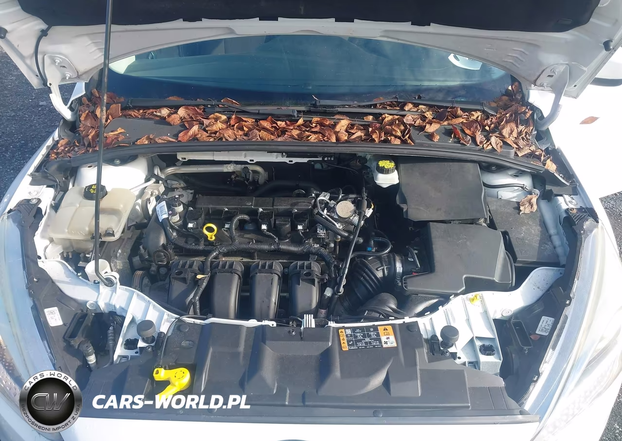 2018 Ford Focus Se VIN:1FADP3K21JL206348 - 10