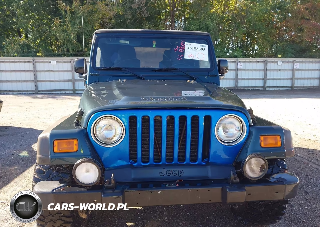 2003 Jeep Wrangler Sport VIN:1J4FA49S83P348587 - 12