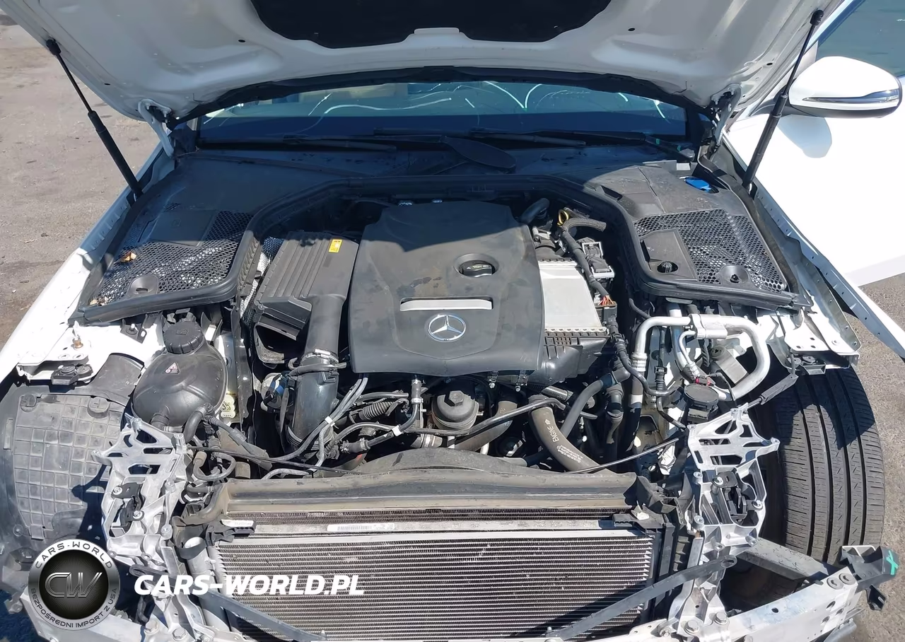 2018 Mercedes-Benz C 300 VIN:55SWF4JB4JU273332 - 10