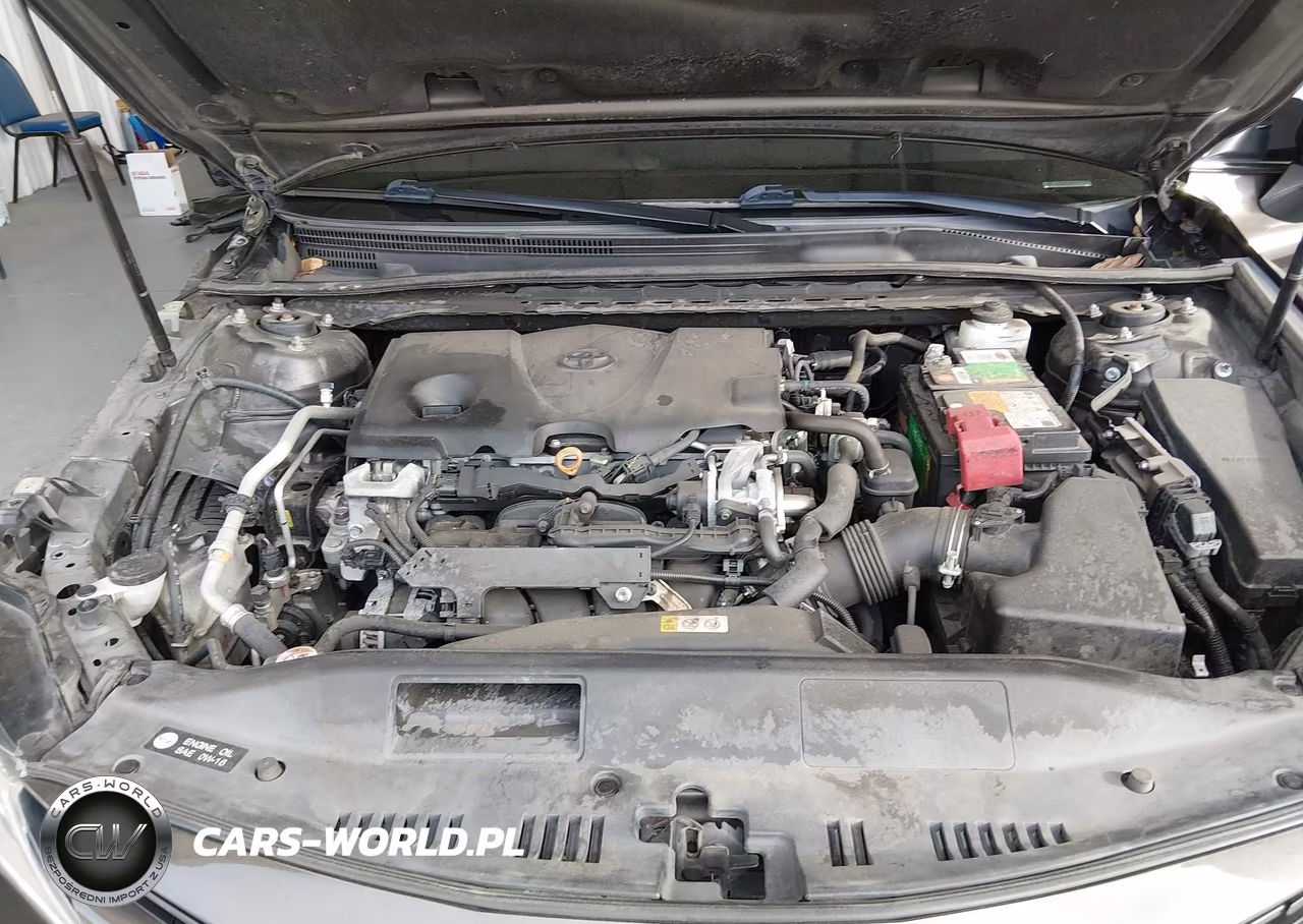 2019 Toyota Camry Le VIN:4T1B11HK7KU697367 - 10