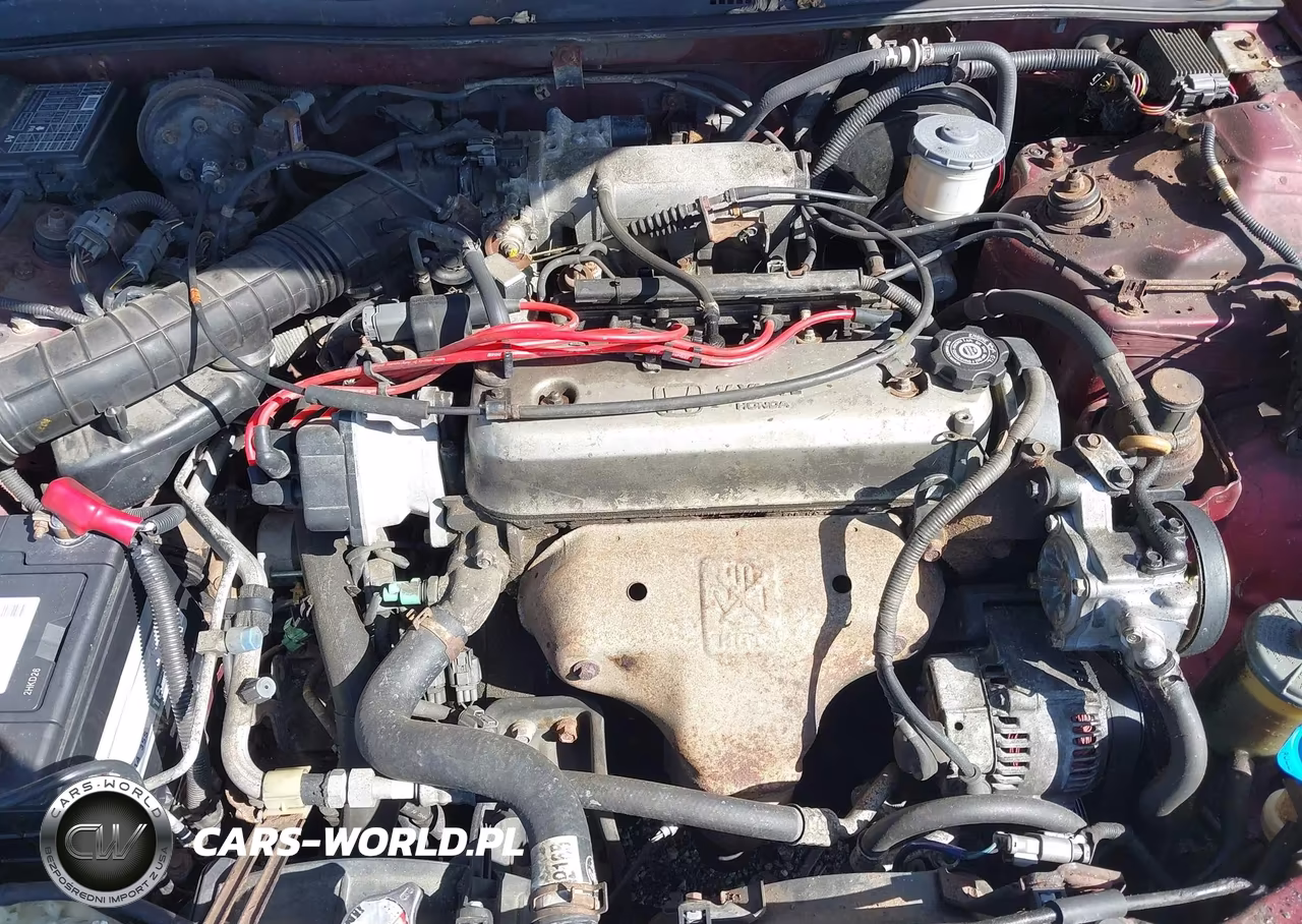 1997 Honda Accord Lx VIN:1HGCD5638VA141188 - 10