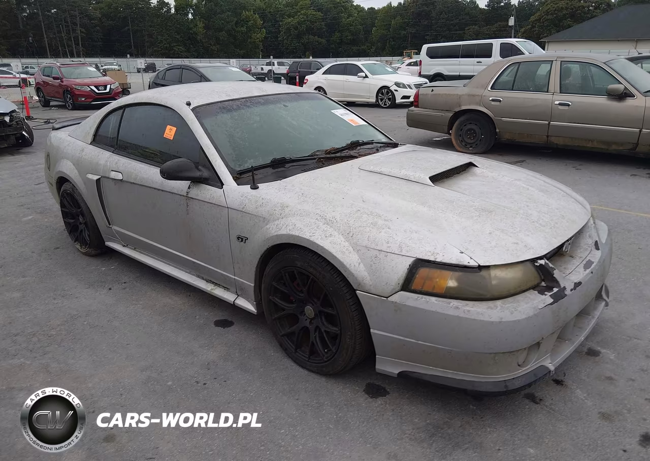 2003 Ford Mustang Gt VIN:1FAFP42X33F376299 - 1