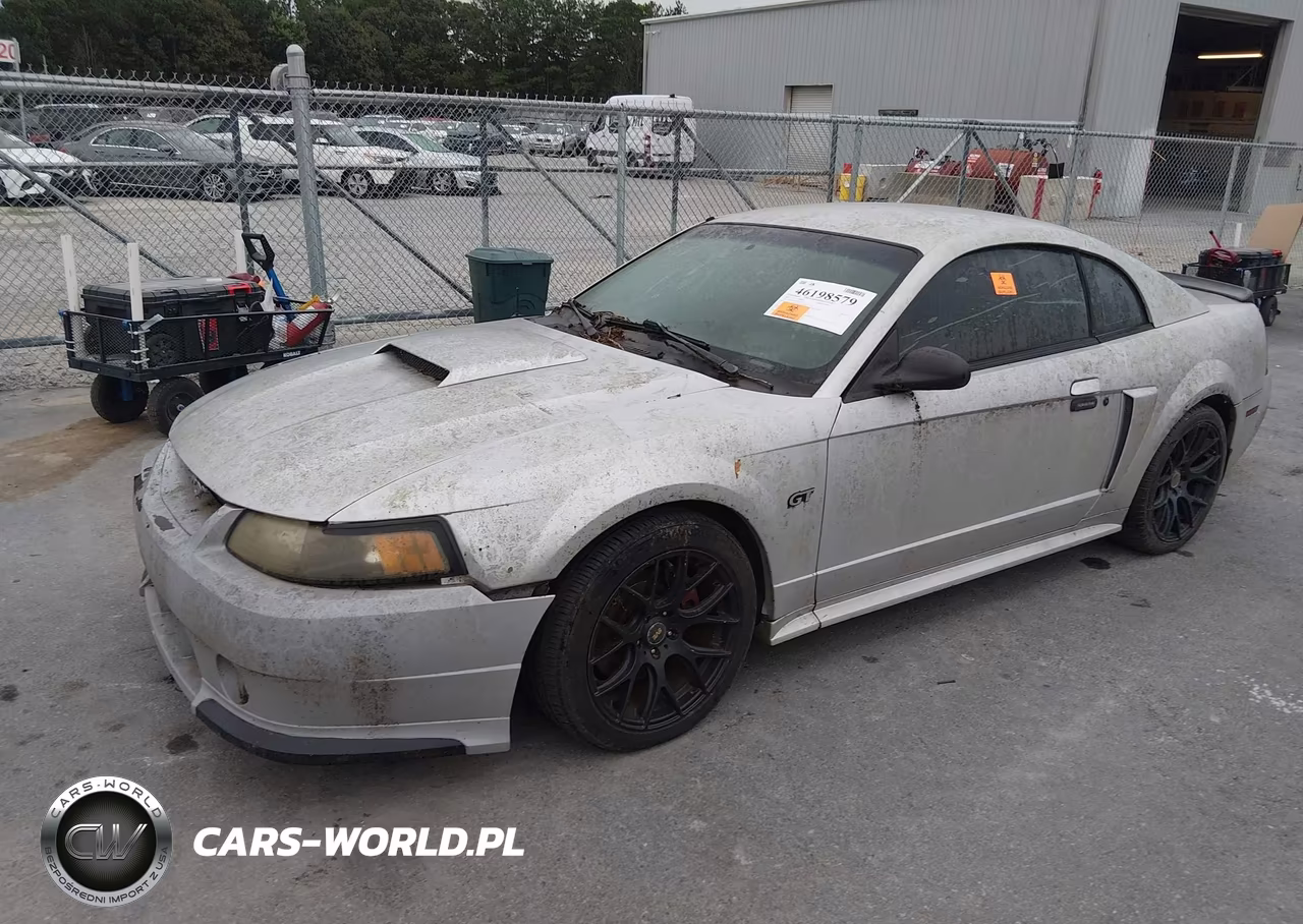 2003 Ford Mustang Gt VIN:1FAFP42X33F376299 - 2