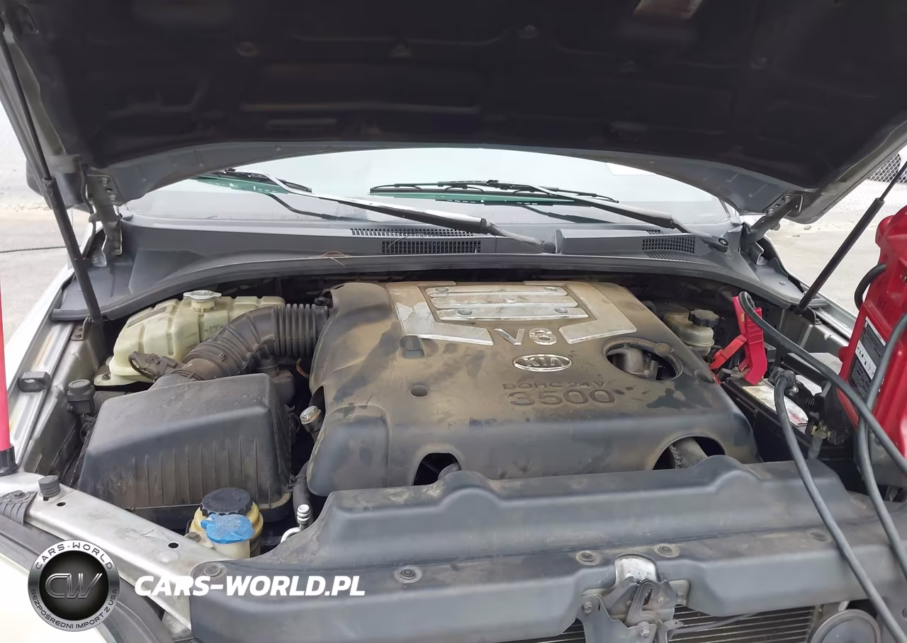 2006 Kia Sorento Ex-Lx VIN:KNDJD733165509713 - 10