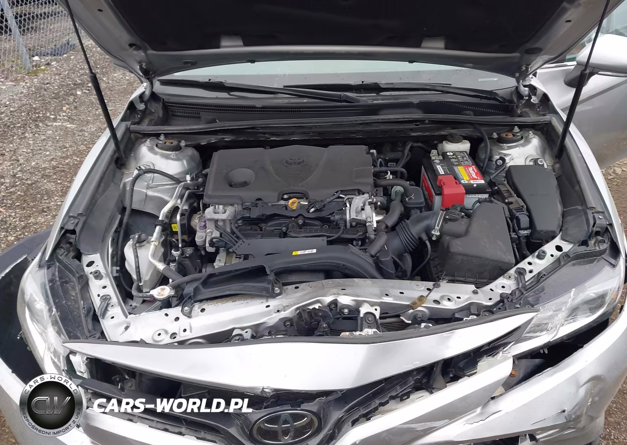 2020 Toyota Camry Le VIN:4T1L11AK1LU975552 - 10