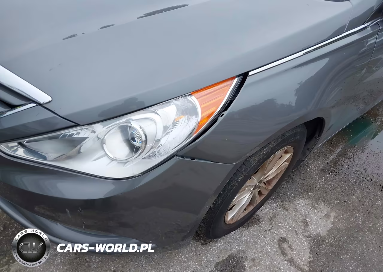 2013 Hyundai Sonata Gls VIN:5NPEB4AC8DH533089 - 14
