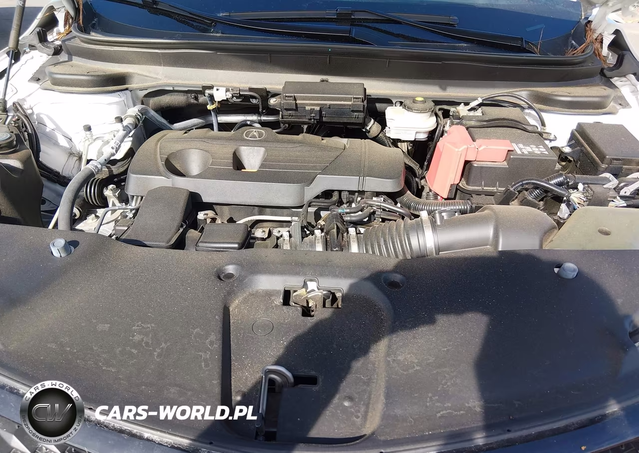 2023 Acura Rdx A-Spec Advance Package VIN:5J8TC2H87PL022971 - 10