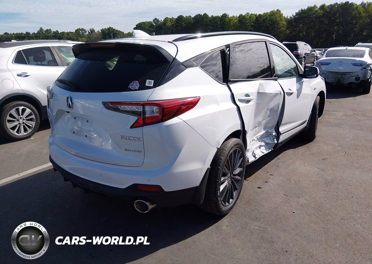 2023 Acura Rdx A-Spec Advance Package VIN:5J8TC2H87PL022971 - 4