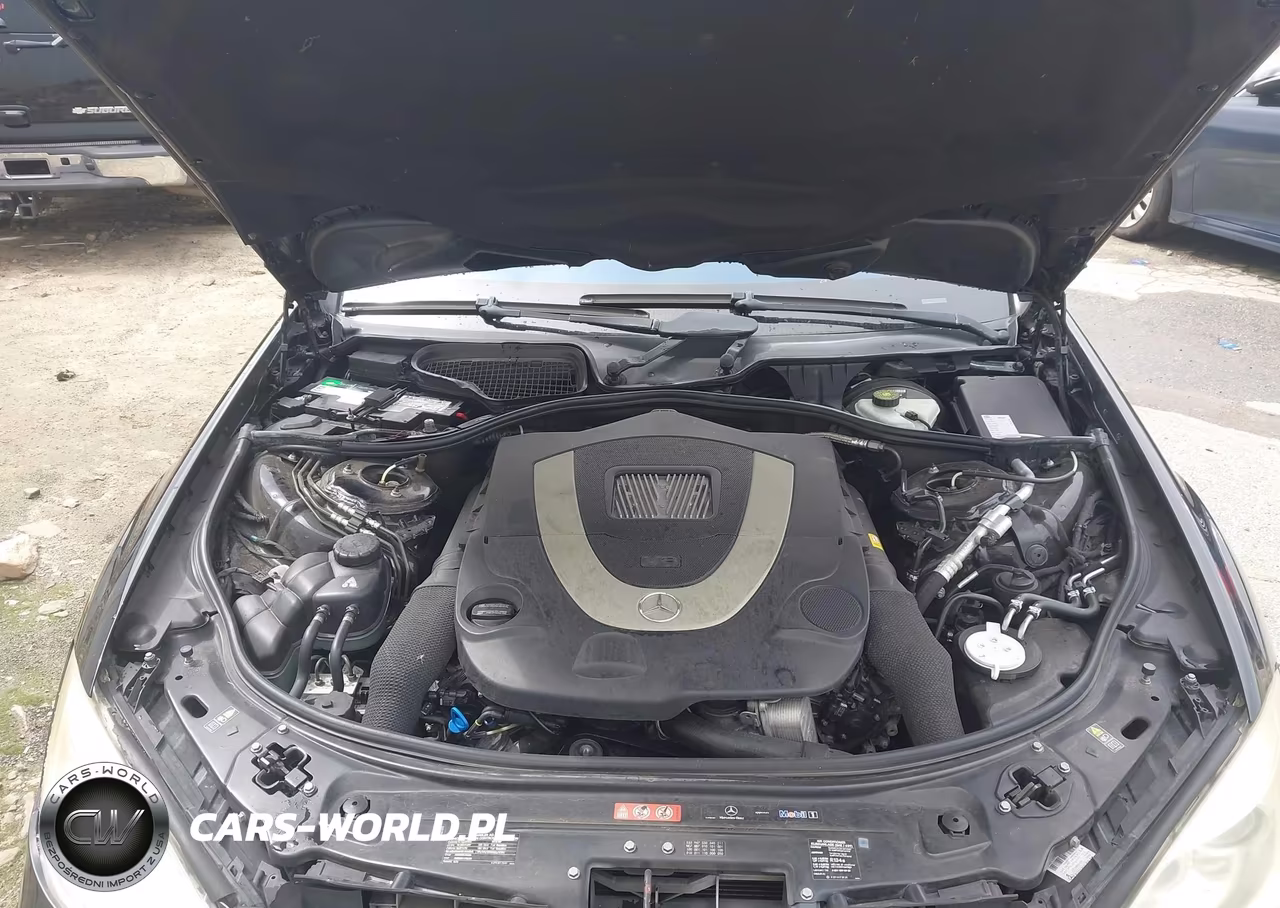 2010 Mercedes-Benz S 550 VIN:WDDNG7BB7AA339901 - 10