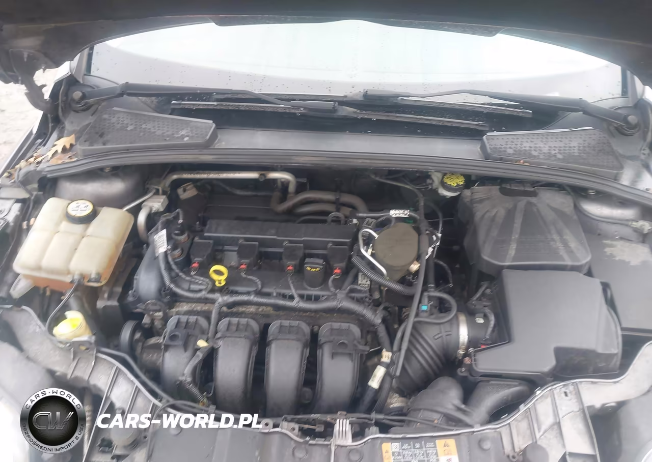 2014 Ford Focus Se VIN:1FADP3K21EL443458 - 10