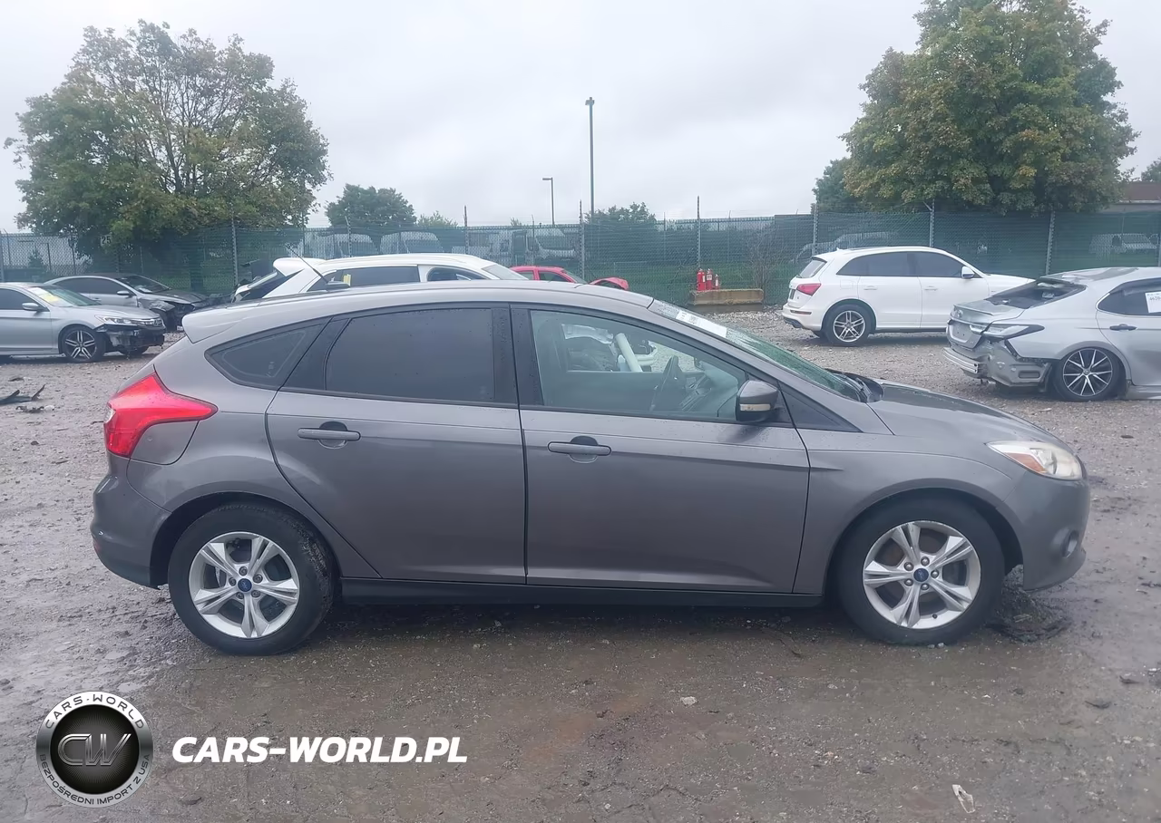 2014 Ford Focus Se VIN:1FADP3K21EL443458 - 13