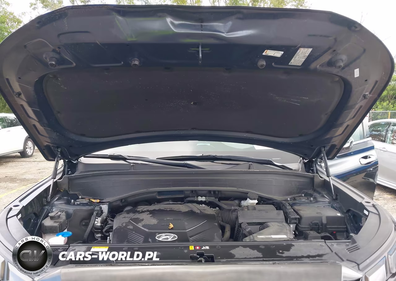 2023 Hyundai Palisade Sel VIN:KM8R2DGE3PU645069 - 10