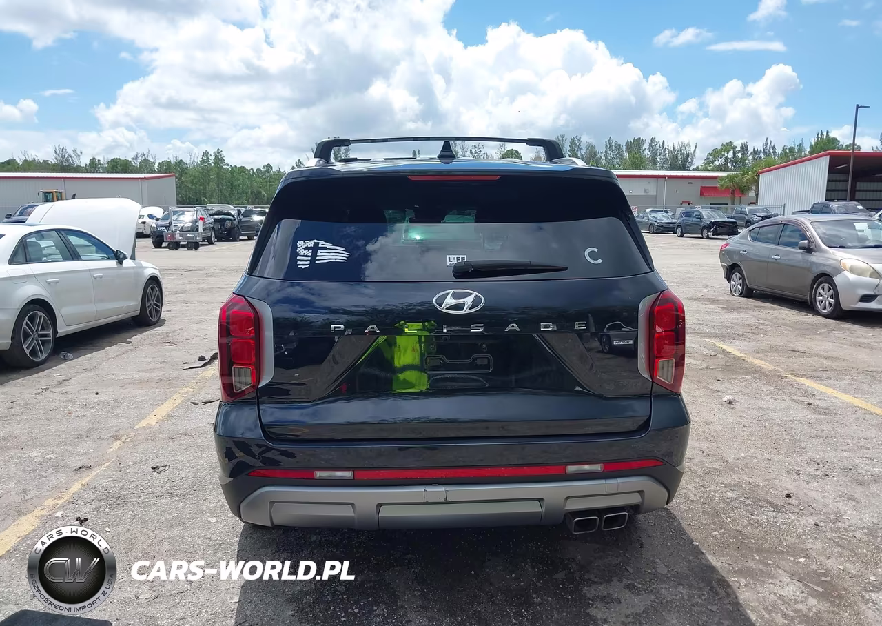 2023 Hyundai Palisade Sel VIN:KM8R2DGE3PU645069 - 16