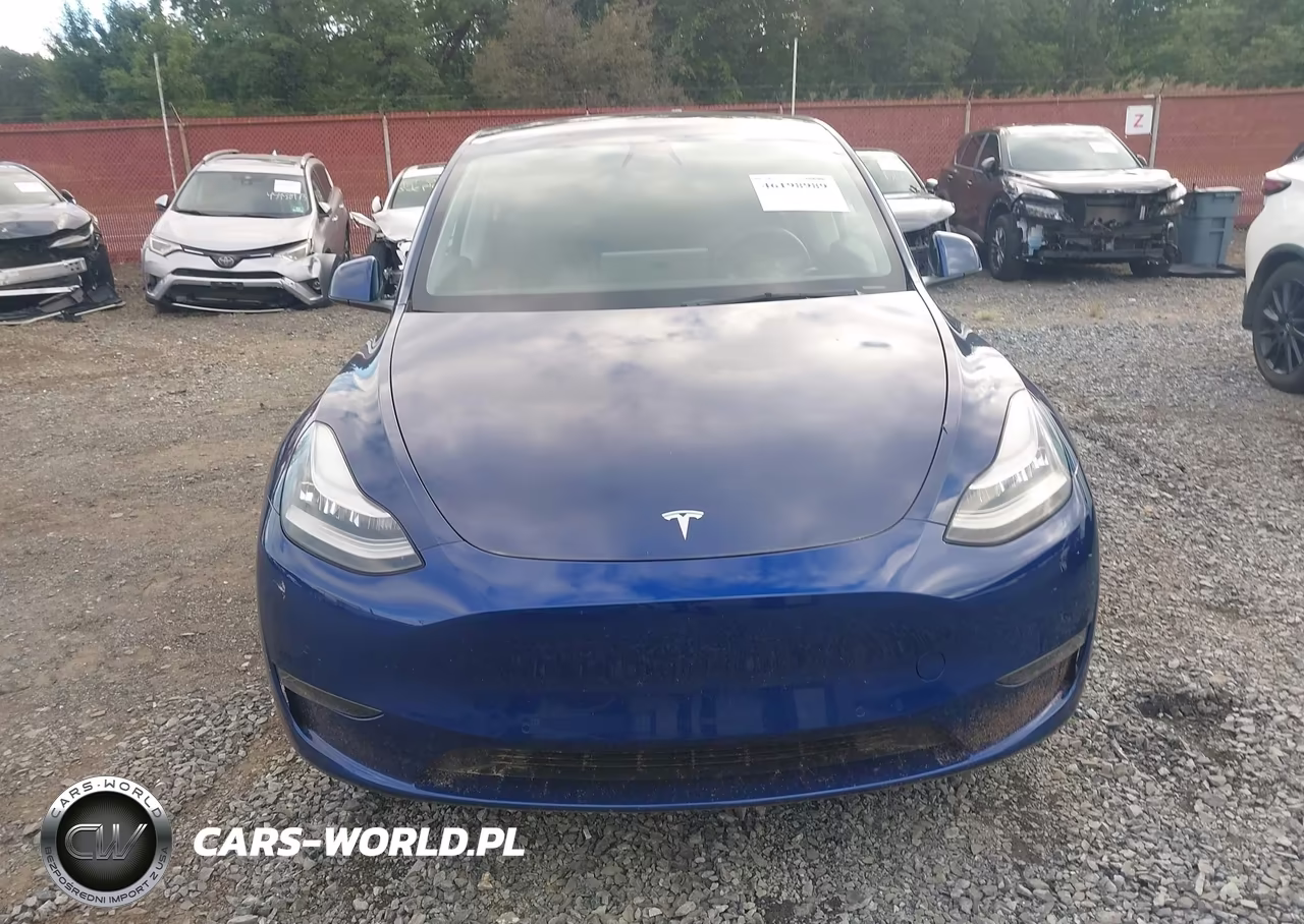 2021 Tesla Model Y Standard Range Rear-Wheel Drive VIN:5YJYGDED6MF106428 - 12